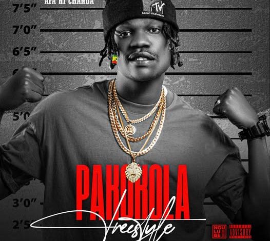 Apa Ni Chanda – Pakokola (Freestyle)
